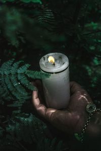 Close-up of hand holding candle by plant