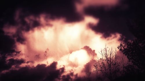 Low angle view of trees against sky