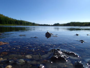 Scenic view of calm lake against clear sky