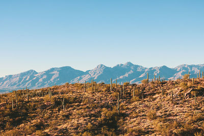 Scenic view of mountains against clear blue sky