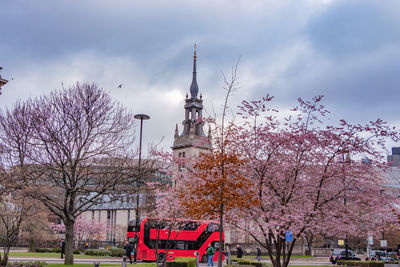 View of cherry blossom against cloudy sky