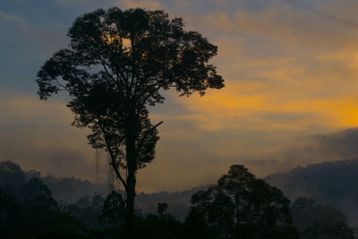 Silhouette trees against cloudy sky during sunset