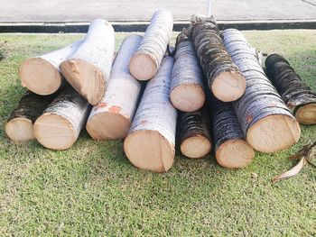 High angle view of logs on field