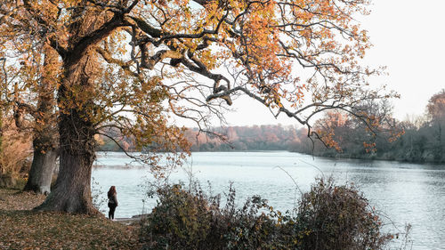 Scenic view of lake against sky during autumn