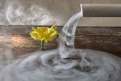 Yellow flower by smoke coming out from pipe
