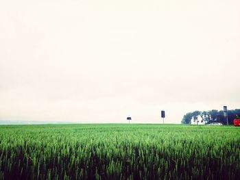 Scenic view of rural landscape