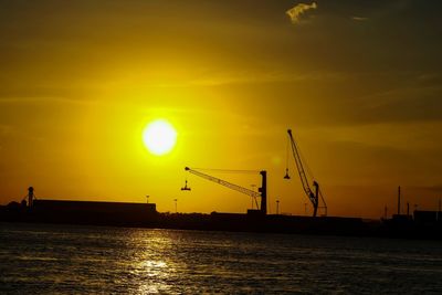 Silhouette of cranes at sunset