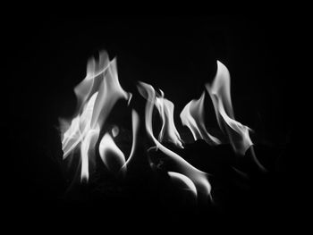 Close-up of flower over black background