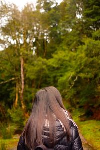 Rear view of woman on tree