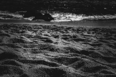 Close-up of sea shore at beach