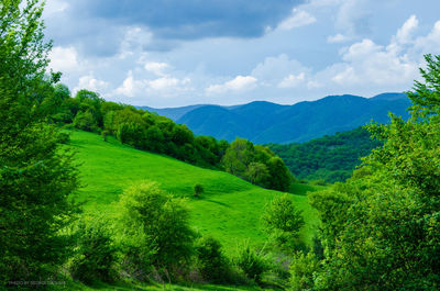 Scenic view of landscape against sky