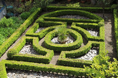 View of formal garden in park