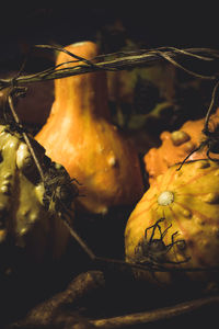 Close-up of fruit on table