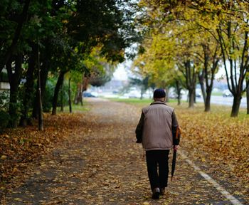 Rear view of man walking on road along trees