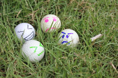 Close-up of multi colored eggs on land