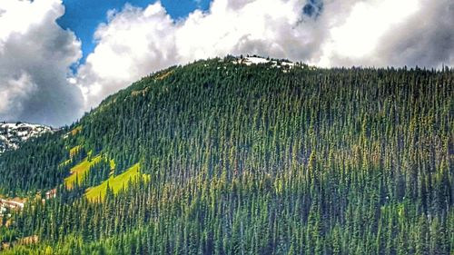 Scenic view of landscape against cloudy sky