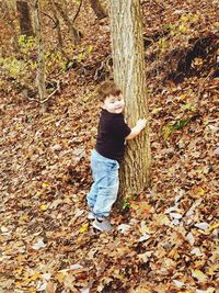 High angle view of boy on leaves during autumn