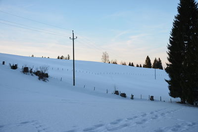 Scenic view of snow covered trees against sky