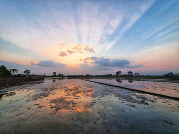 Scenic view of wet land against sky during sunset