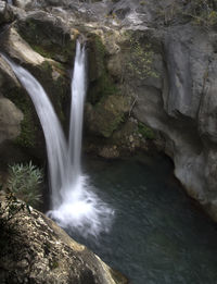 Scenic view of waterfall in forest