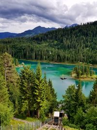 Scenic view of pine trees by lake against sky