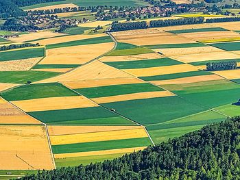 High angle view of agricultural field