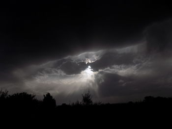 Low angle view of silhouette trees against sky at night