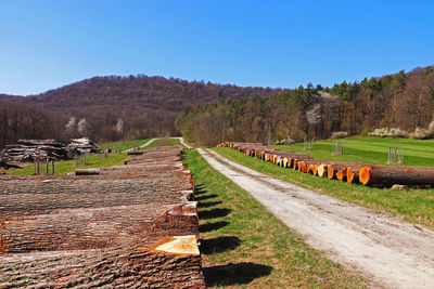 Scenic view of landscape against clear blue sky