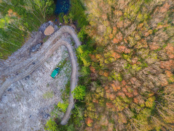 High angle view of trees by road in forest