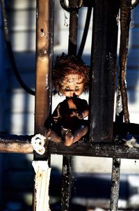 Close-up of abandoned doll on railing