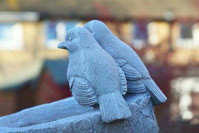 Close-up of a bird