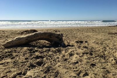 Scenic view of sea against clear sky