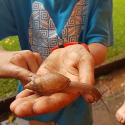 Midsection of child holding a snail