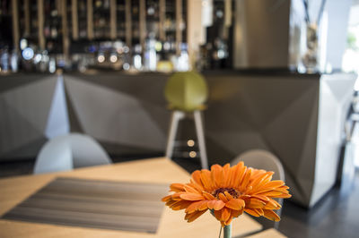 Close-up of flower vase on table