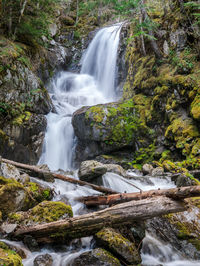 Scenic view of waterfall in forest