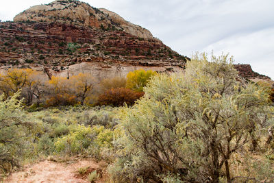 Arid terrain and  red mountain in natural bridges national monument, utah, usa