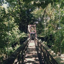 Footbridge in forest