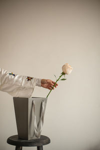 Man holding flower vase on table against white background