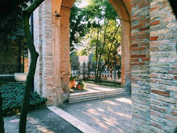 Walkway along trees