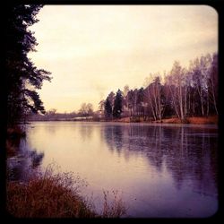 Reflection of trees in lake