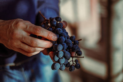 Close-up of hand holding berries