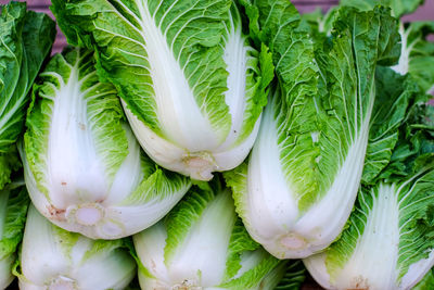 High angle view of vegetables for sale