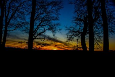 Silhouette of trees at sunset