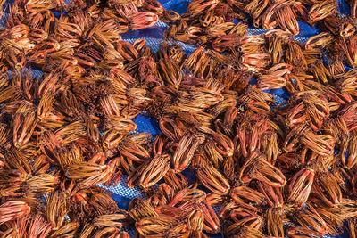 Full frame shot of spices in market for sale