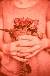 Close-up of hand holding pink rose flower