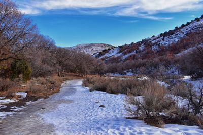 Winter snow mountain hiking trail views yellow fork park rose canyon copper mine salt lake city utah