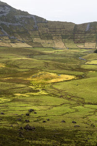 Scenic view of grassy field against mountains