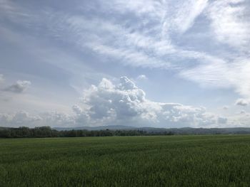 Scenic view of agricultural field against sky