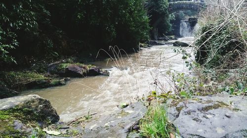 Stream flowing through rocks