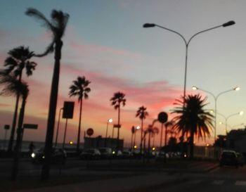 Silhouette palm trees against sky at sunset